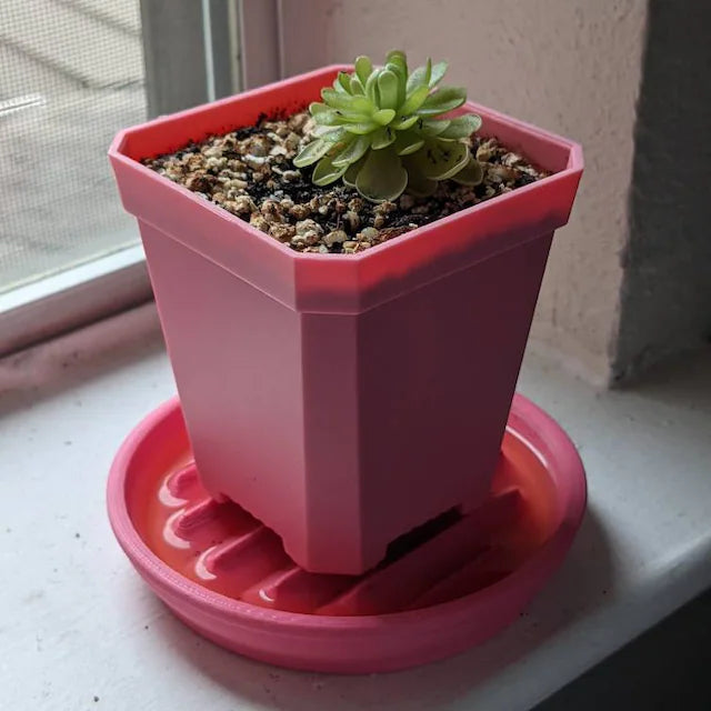Plant Saucer, Plant tray, Humidity tray, drip saucers, planter saucer, Pot Saucer, planters & pots, plant plate, Drainage Tray, Saucer - Meow3D