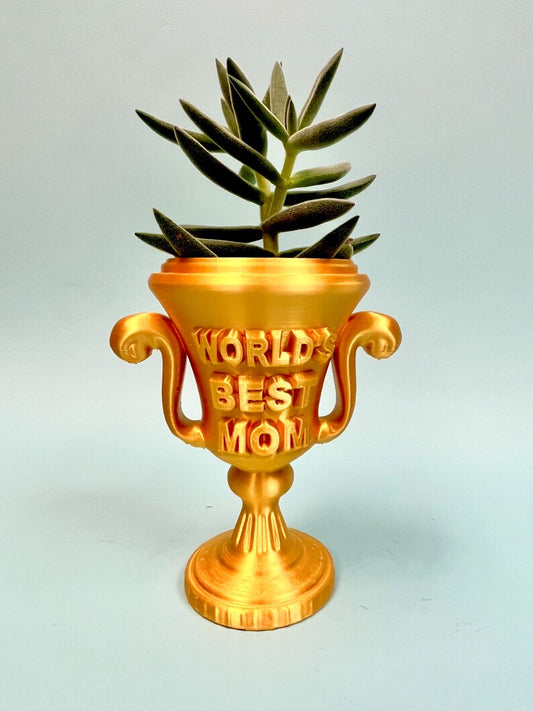 Custom trophy planter, Personalized Trophy, Desk decor, Personalized gift