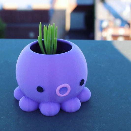 Octopus Planter, Office Decor, Desk Decor, Succulents, Air-plants