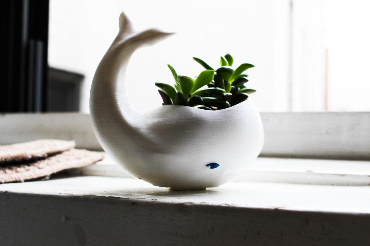 Whale Planter whale Decor whale planter pot Air Plant Holder