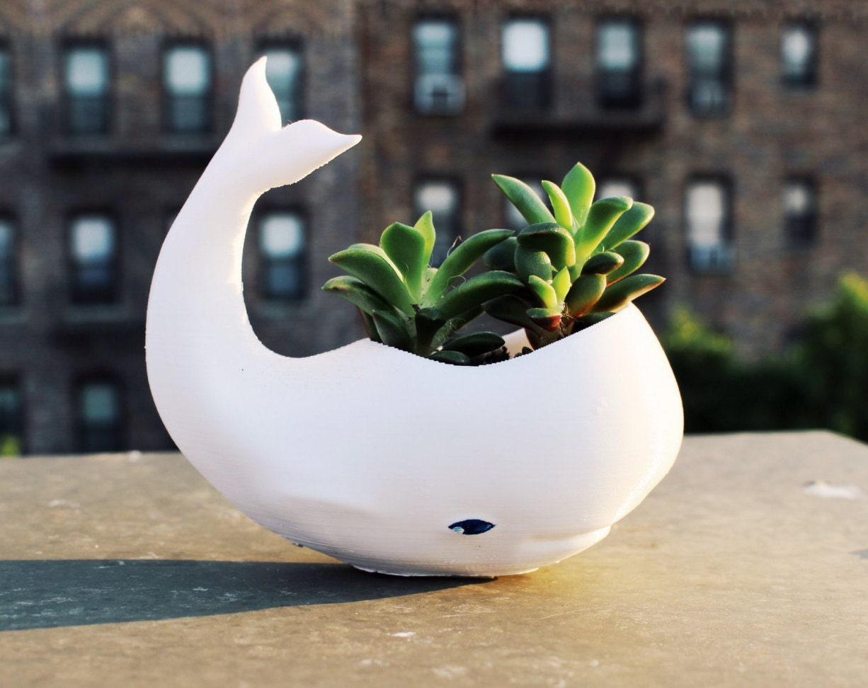 whale succulent pot Whale Planter, whale Decor, whale planter pot, Air Plant Holder, animal planter