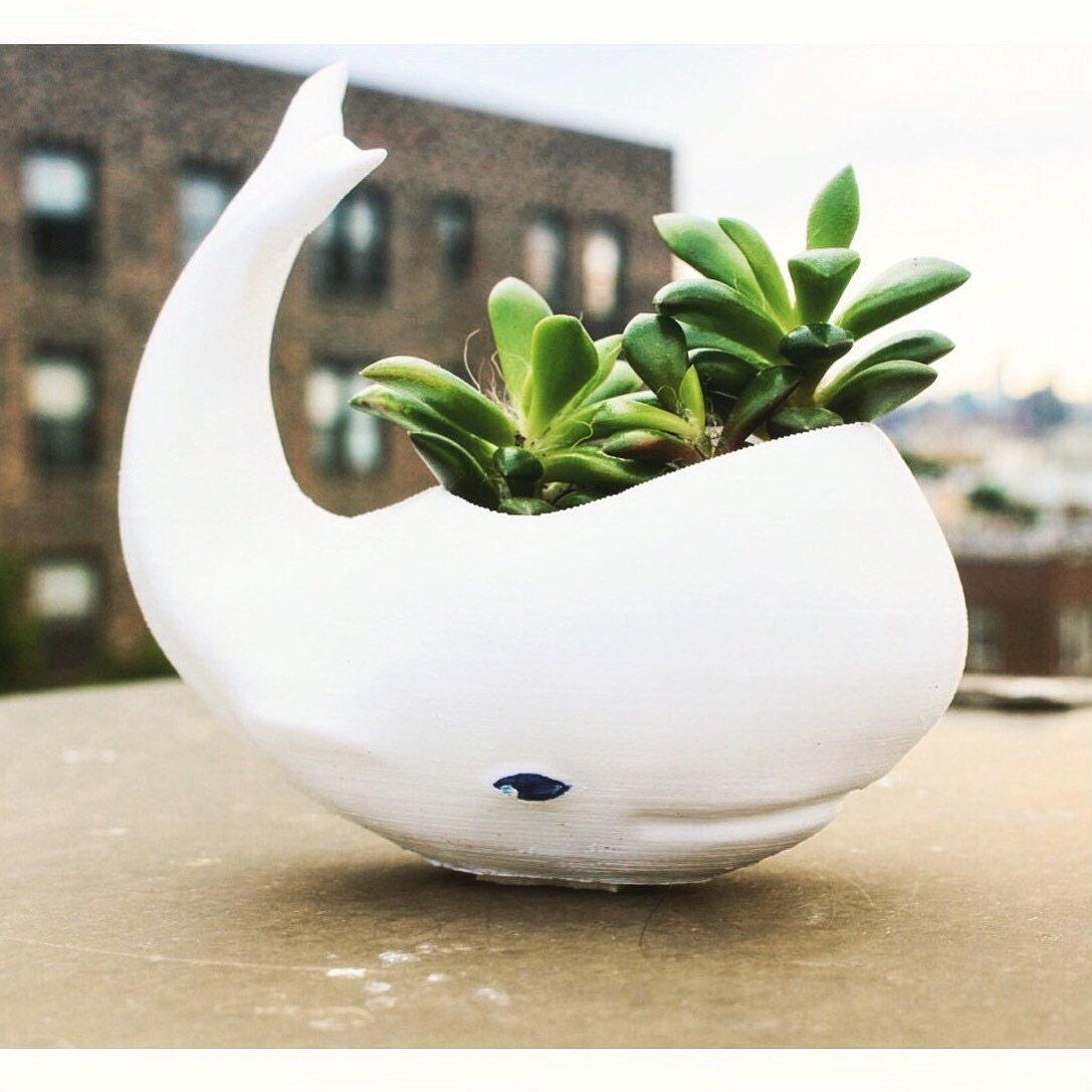 Whale Planter whale Decor whale planter pot Air Plant Holder