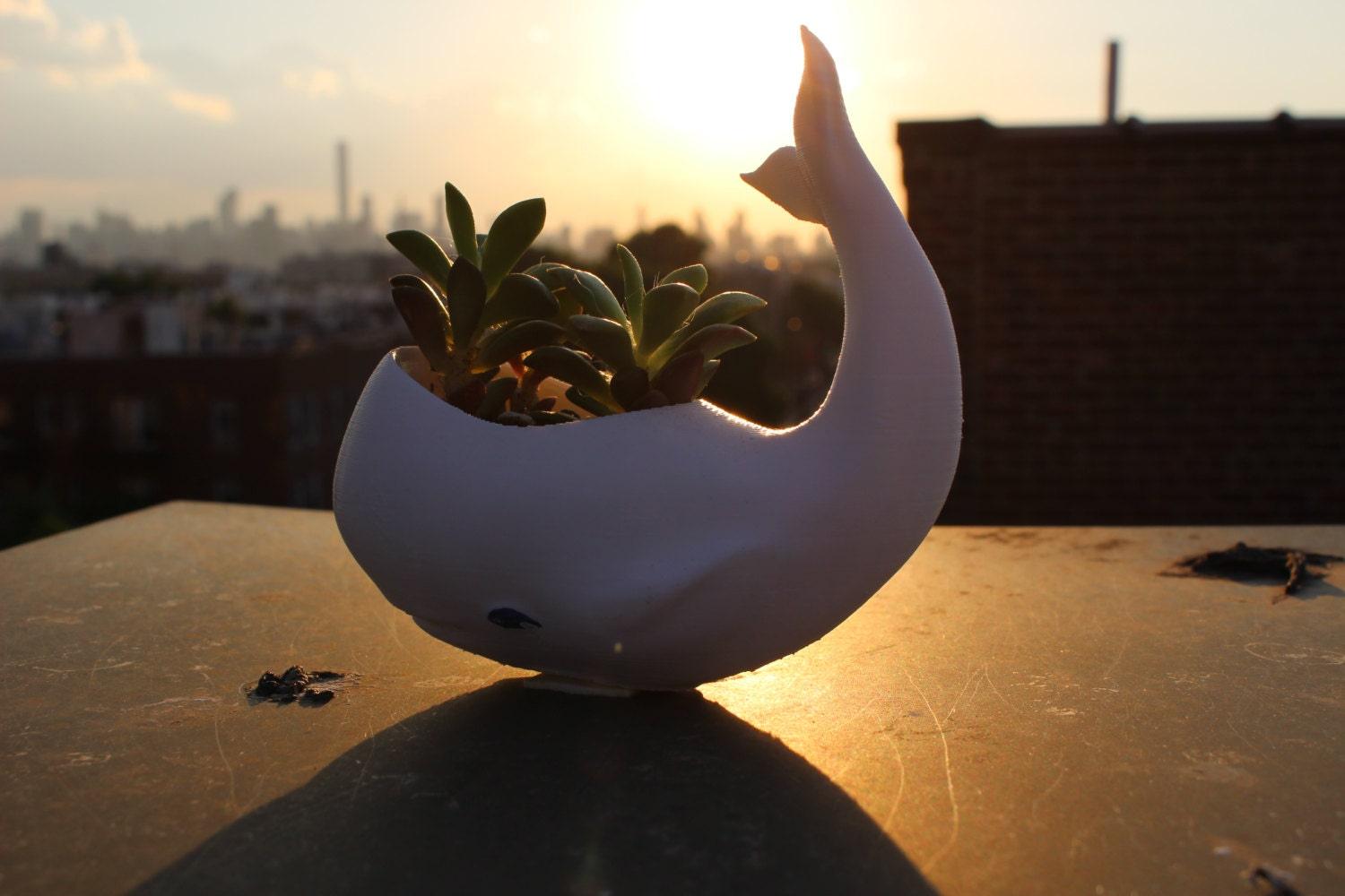 Whale Planter whale Decor whale planter pot Air Plant Holder
