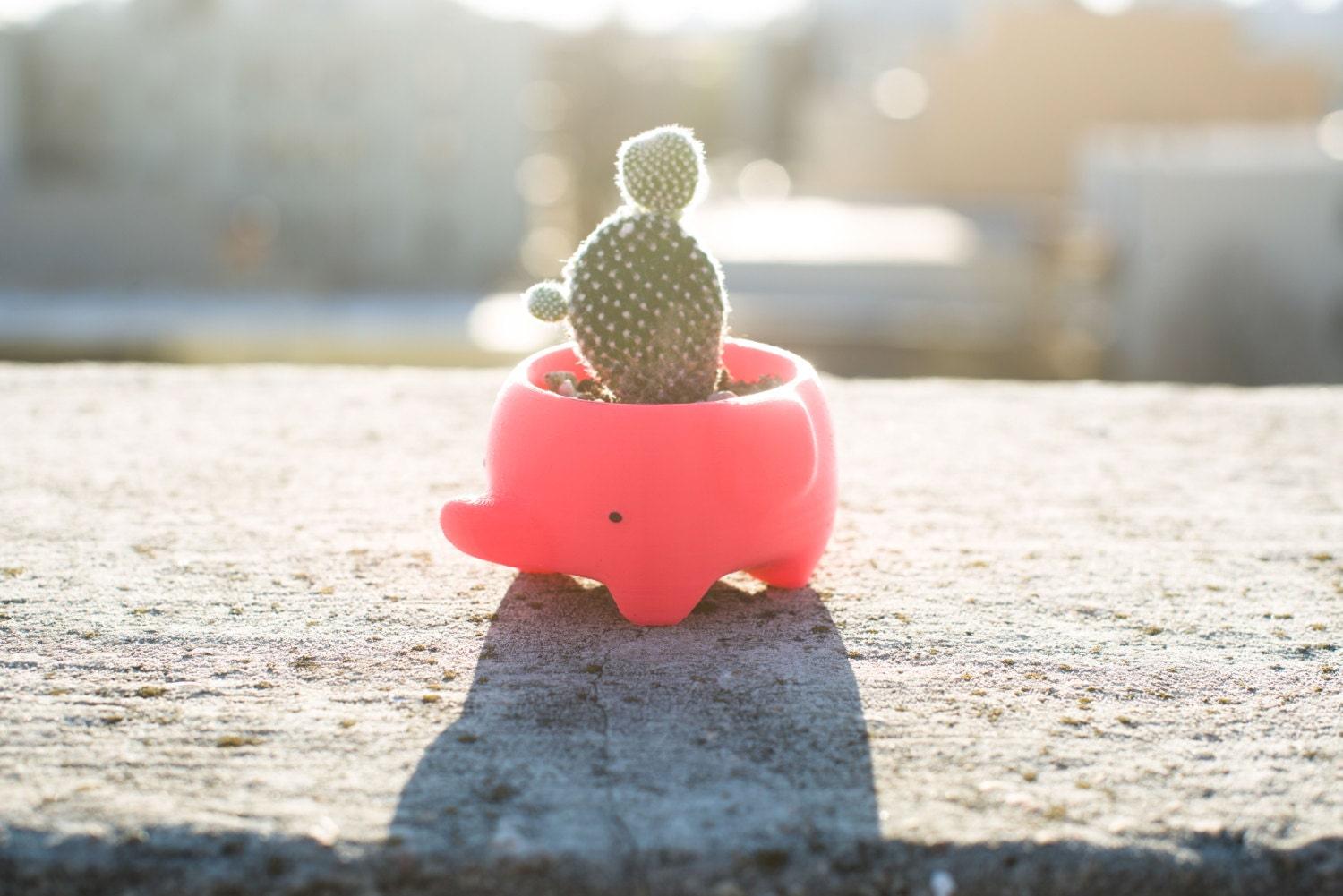 cute plant pot - 3