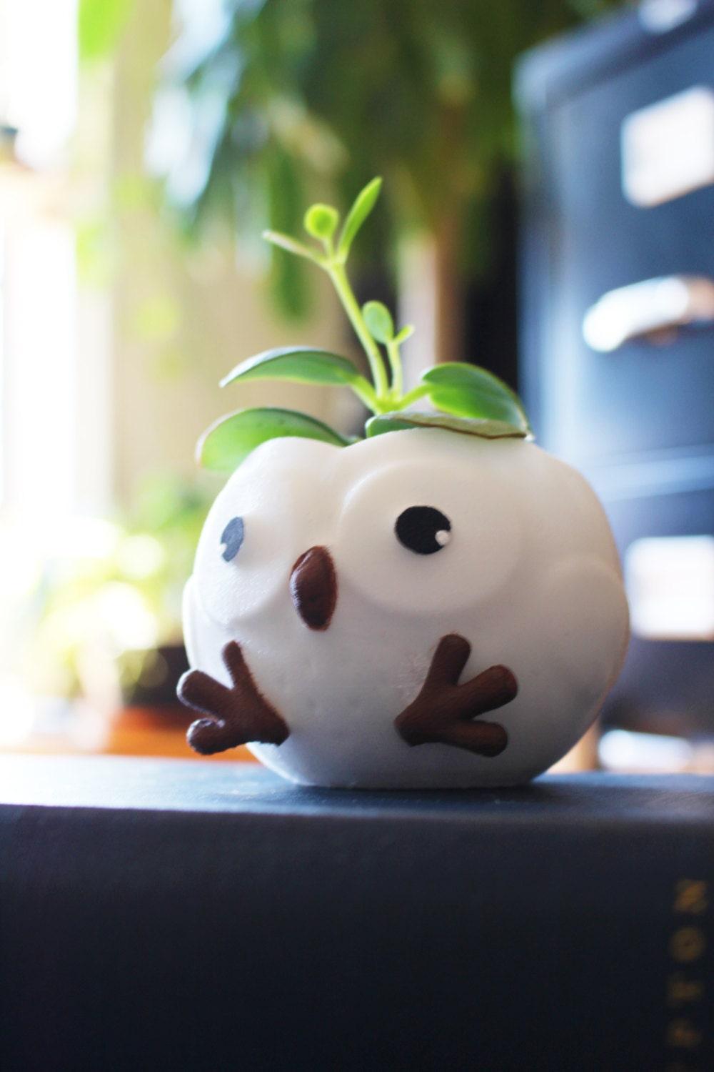 Owl Planter, owl pot, Fathers Day Gift, Plant Dad, Owl lovers, succulent planter, Animal Lover, Women Gifts, Birthday Gift - Meow3D