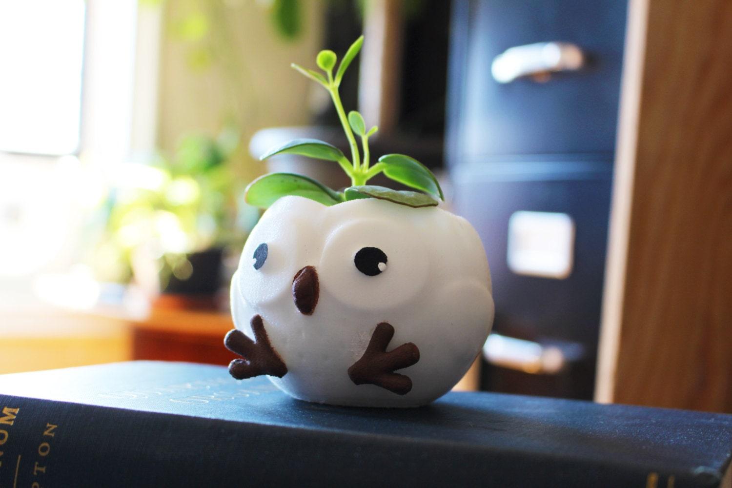 Owl Planter, owl pot, Fathers Day Gift, Plant Dad, Owl lovers, succulent planter, Animal Lover, Women Gifts, Birthday Gift - Meow3D