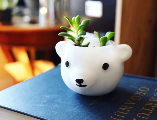 Polar Bear Planter, Mothers Day gift, Mama Bear, Bear Dad, Plant Dad, cute, animal planter, birthday gift, women gift - Meow3D