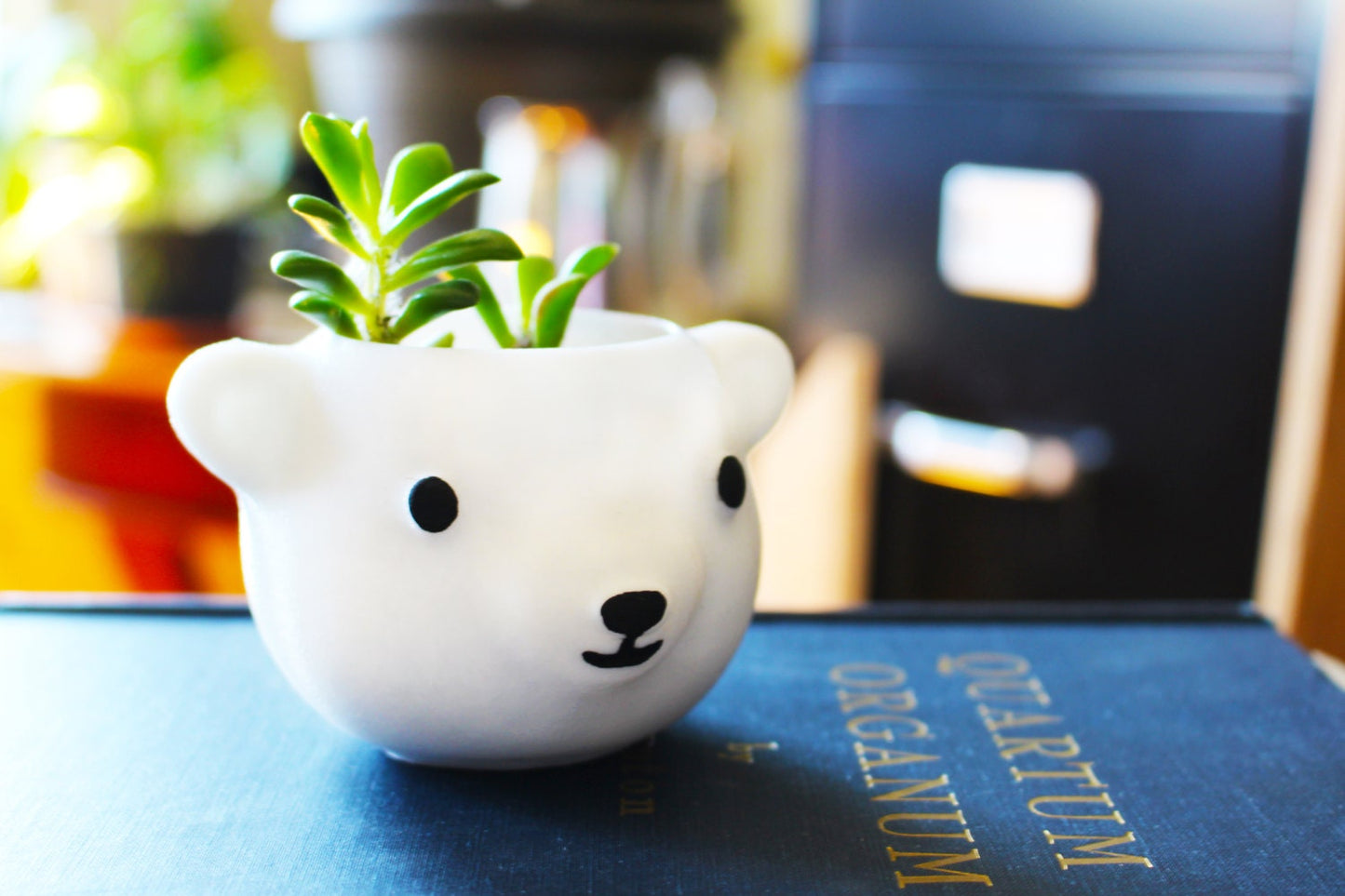 Polar Bear Planter, Mothers Day gift, Mama Bear, Bear Dad, Plant Dad, cute, animal planter, birthday gift, women gift - Meow3D