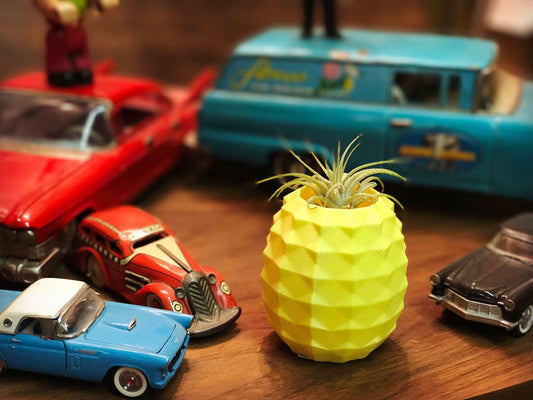 Pineapple planter, air plant holder, planter, succulent, vase, flower pot, 3d printed, pineapple, homewarming - Meow3D
