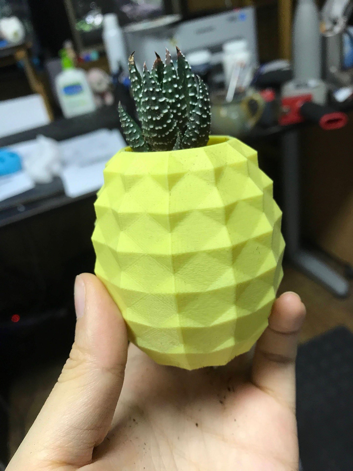 Pineapple planter, air plant holder, planter, succulent, vase, flower pot, 3d printed, pineapple, homewarming - Meow3D