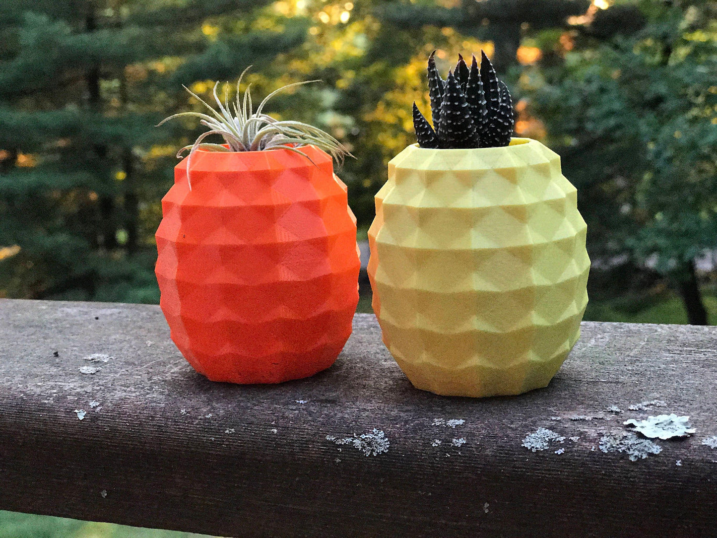 Pineapple planter, air plant holder, planter, succulent, vase, flower pot, 3d printed, pineapple, homewarming - Meow3D