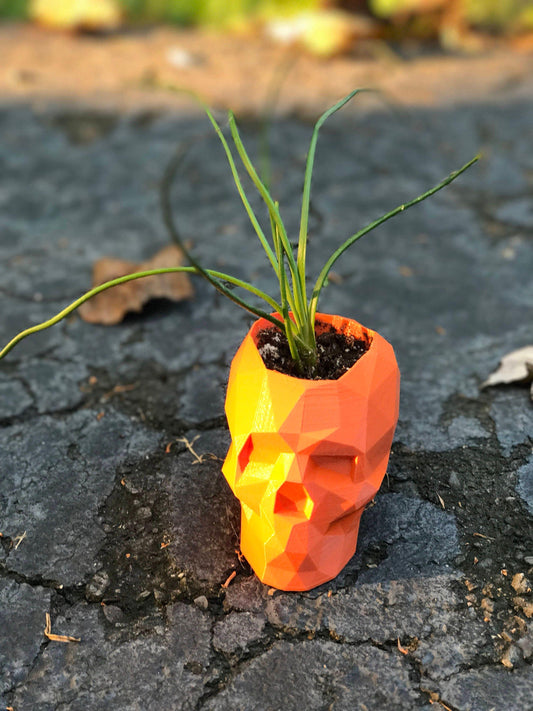 Skull Planter, geometrical, Dorm Decor, husband gift, Halloween, Boyfriend Gift, Gothic, planter - Meow3D