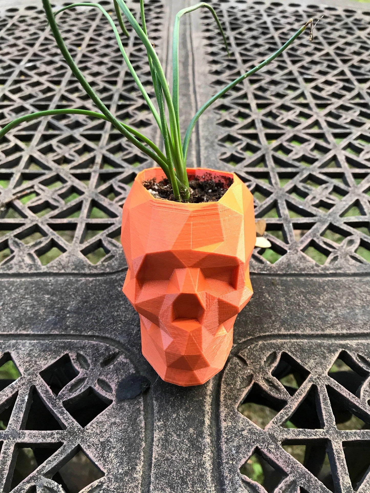 Skull Planter, geometrical, Dorm Decor, husband gift, Halloween, Boyfriend Gift, Gothic, planter - Meow3D