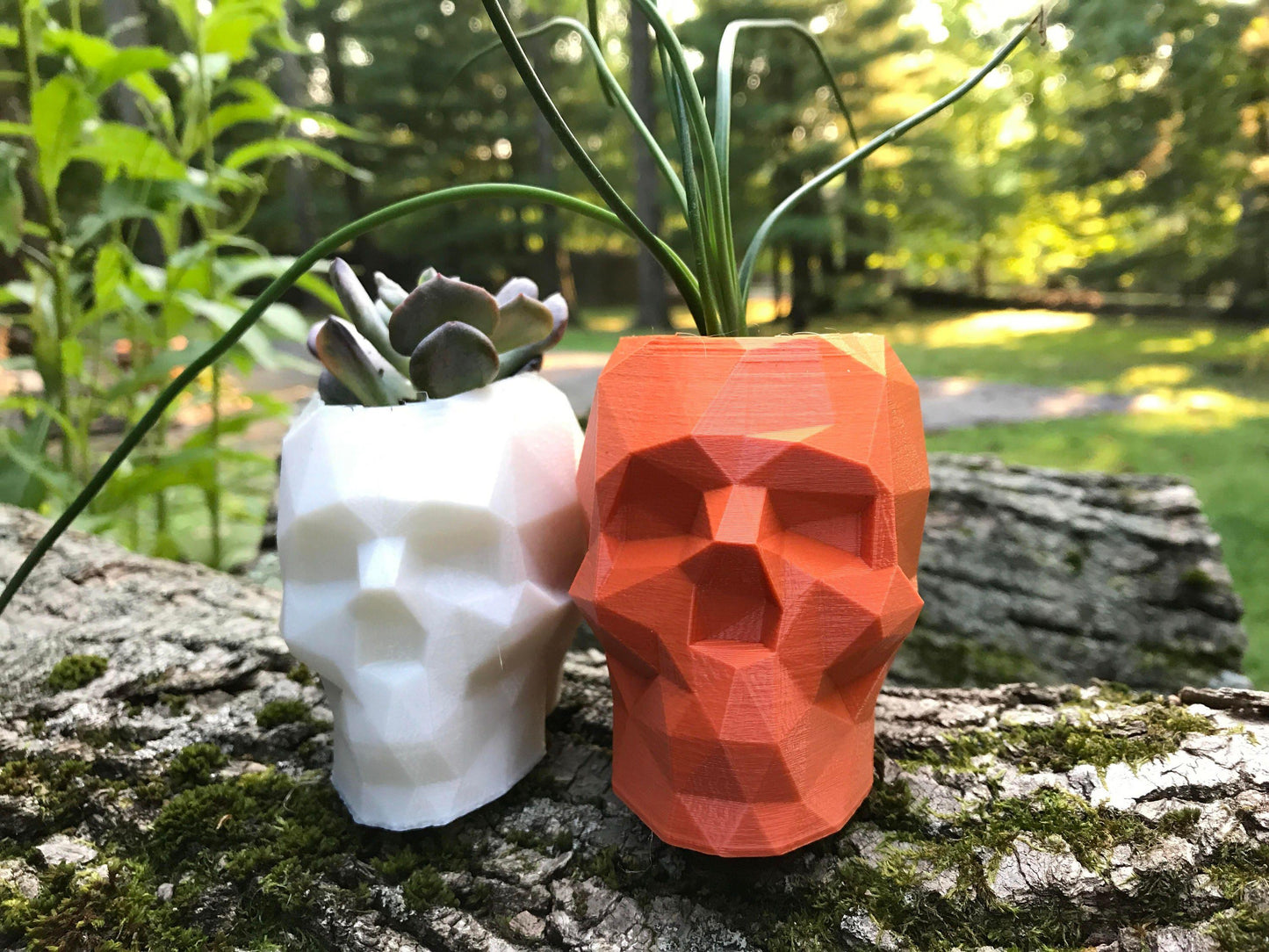 Skull Planter, geometrical, Dorm Decor, husband gift, Halloween, Boyfriend Gift, Gothic, planter - Meow3D