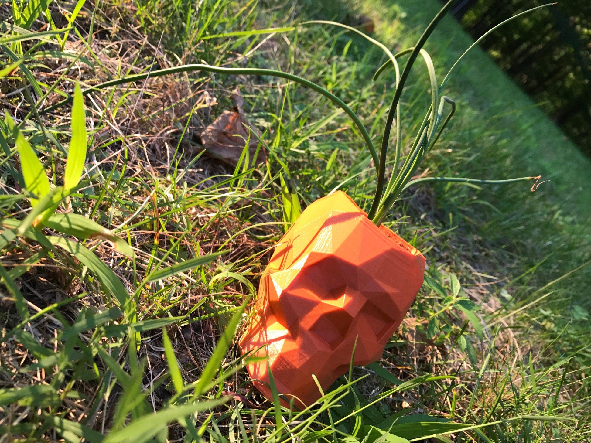 Skull Planter, geometrical, Dorm Decor, husband gift, Halloween, Boyfriend Gift, Gothic, planter - Meow3D