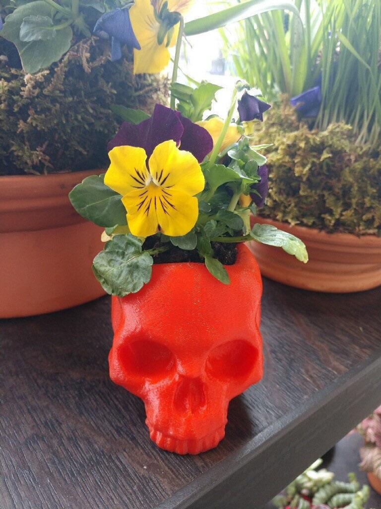 Skull Planter, skull decor, gothic home decor, succulent planter, skull, Gothic, punk decor, Rock - Meow3D