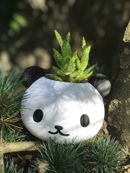 Panda Planter, Panda gifts, Father's Day Gift,  panda decor, bear planter Panda bear, Papa Bear, Holiday Gift, Mama Bear - Meow3D