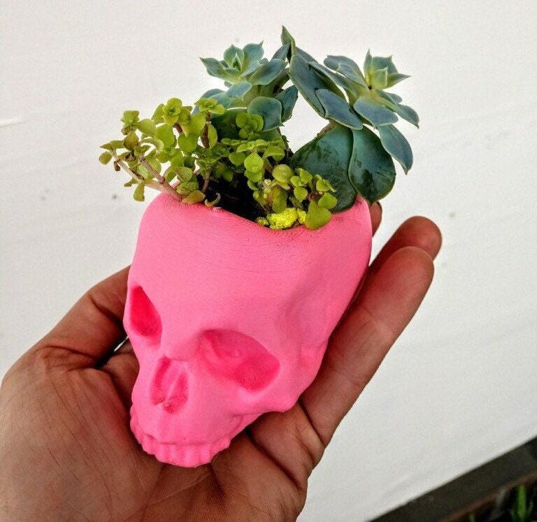 skull succulent pot Skull Planter, skull decor, home decor, succulent planter, skull, Goth