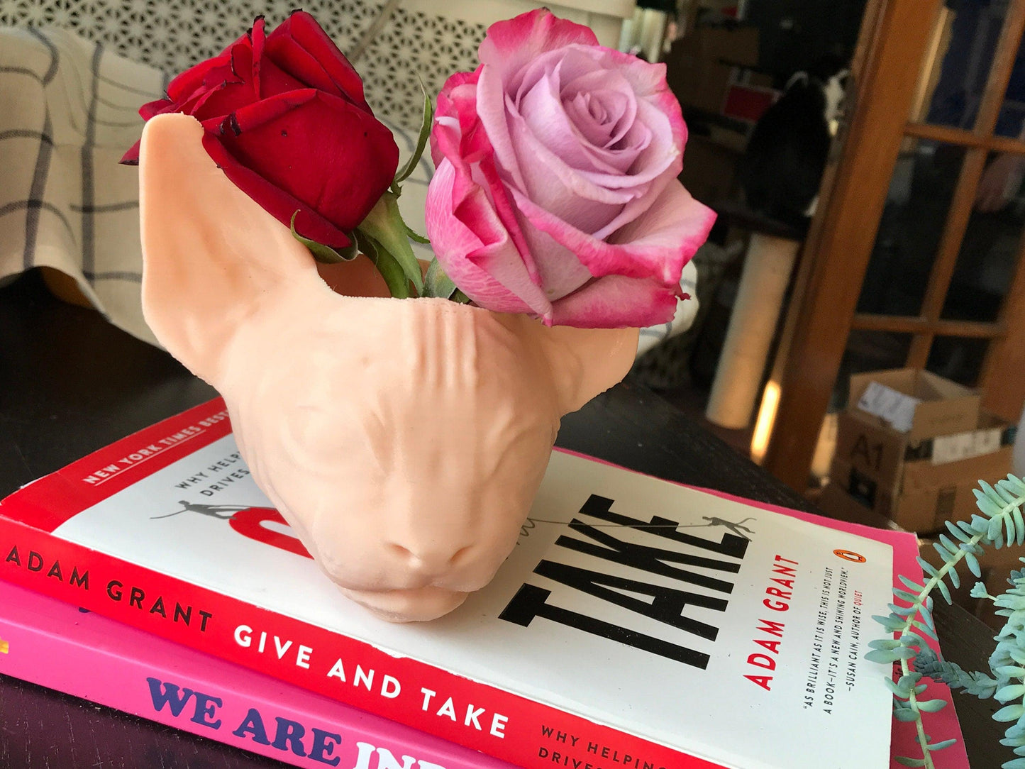 custom sphynx cat planter cat gift - 3