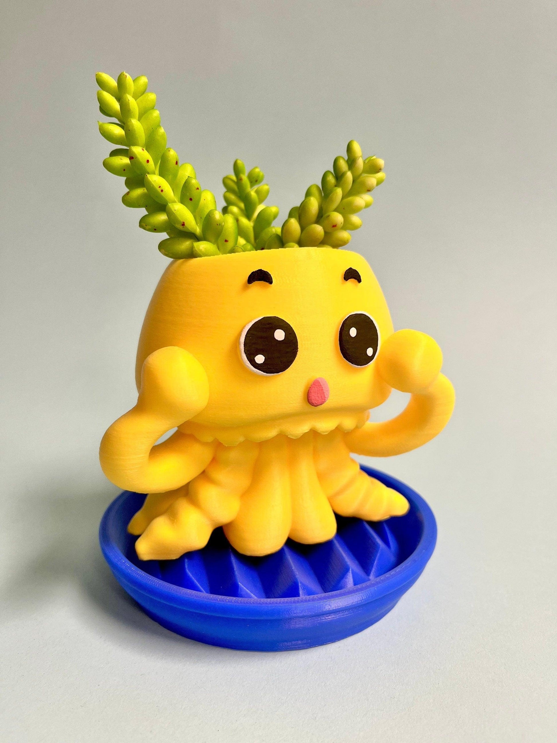 jellyfish planter - 1
