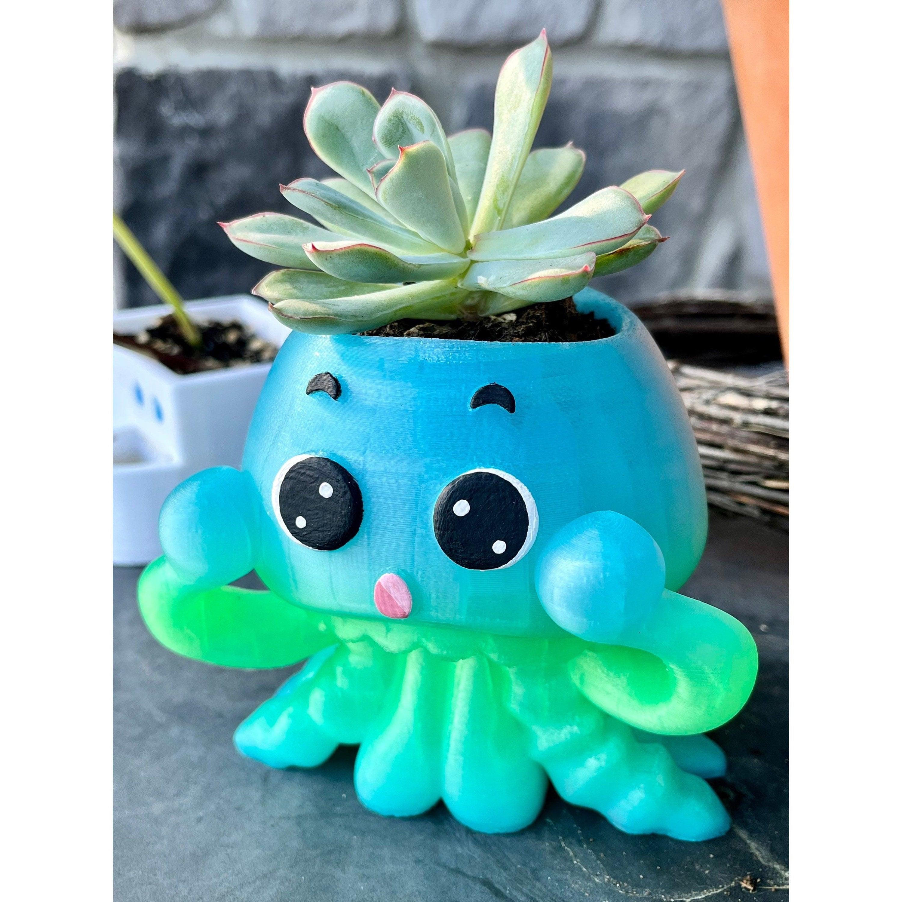 succulent jellyfish planter Jellyfish planter, Air Plant, Modern Decor, Ocean decor, Gift for her