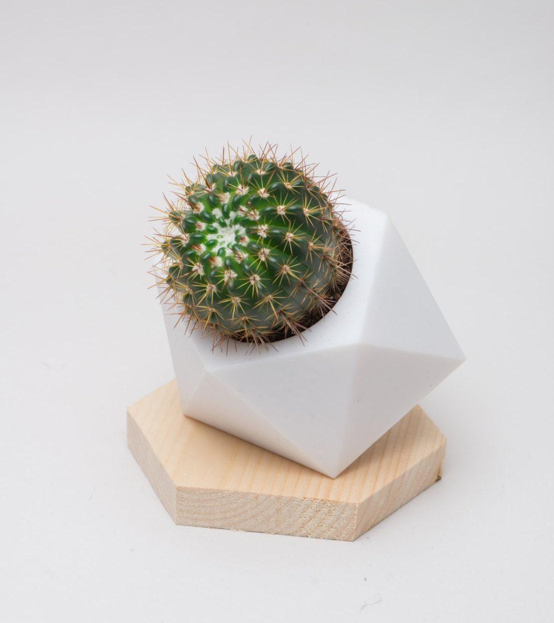 Hexagon Vase, Geometrical Vase, Hexagon, Planter, modern planter, minimalism, Low poly, home decor, mothers day gifts, Wedding, decor - Meow3D