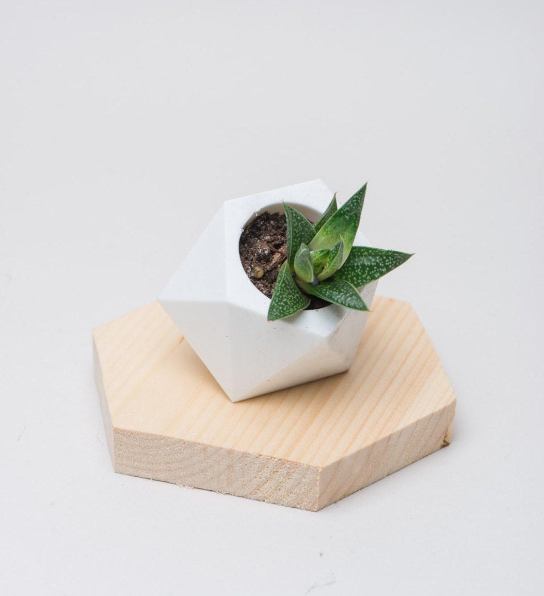 Hexagon Vase, Geometrical Vase, Hexagon, Planter, modern planter, minimalism, Low poly, home decor, mothers day gifts, Wedding, decor - Meow3D
