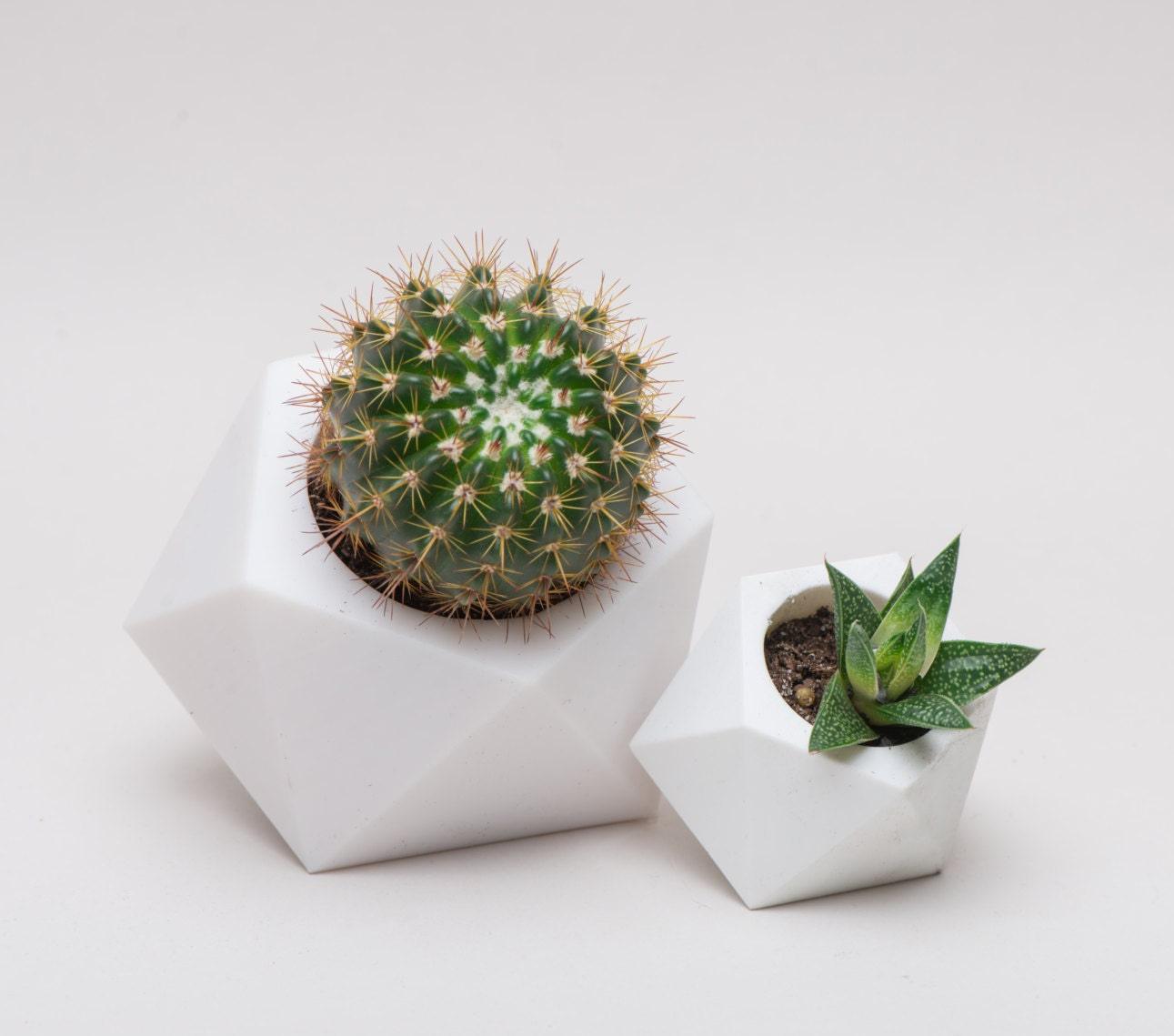 Hexagon Vase, Geometrical Vase, Hexagon, Planter, modern planter, minimalism, Low poly, home decor, mothers day gifts, Wedding, decor - Meow3D