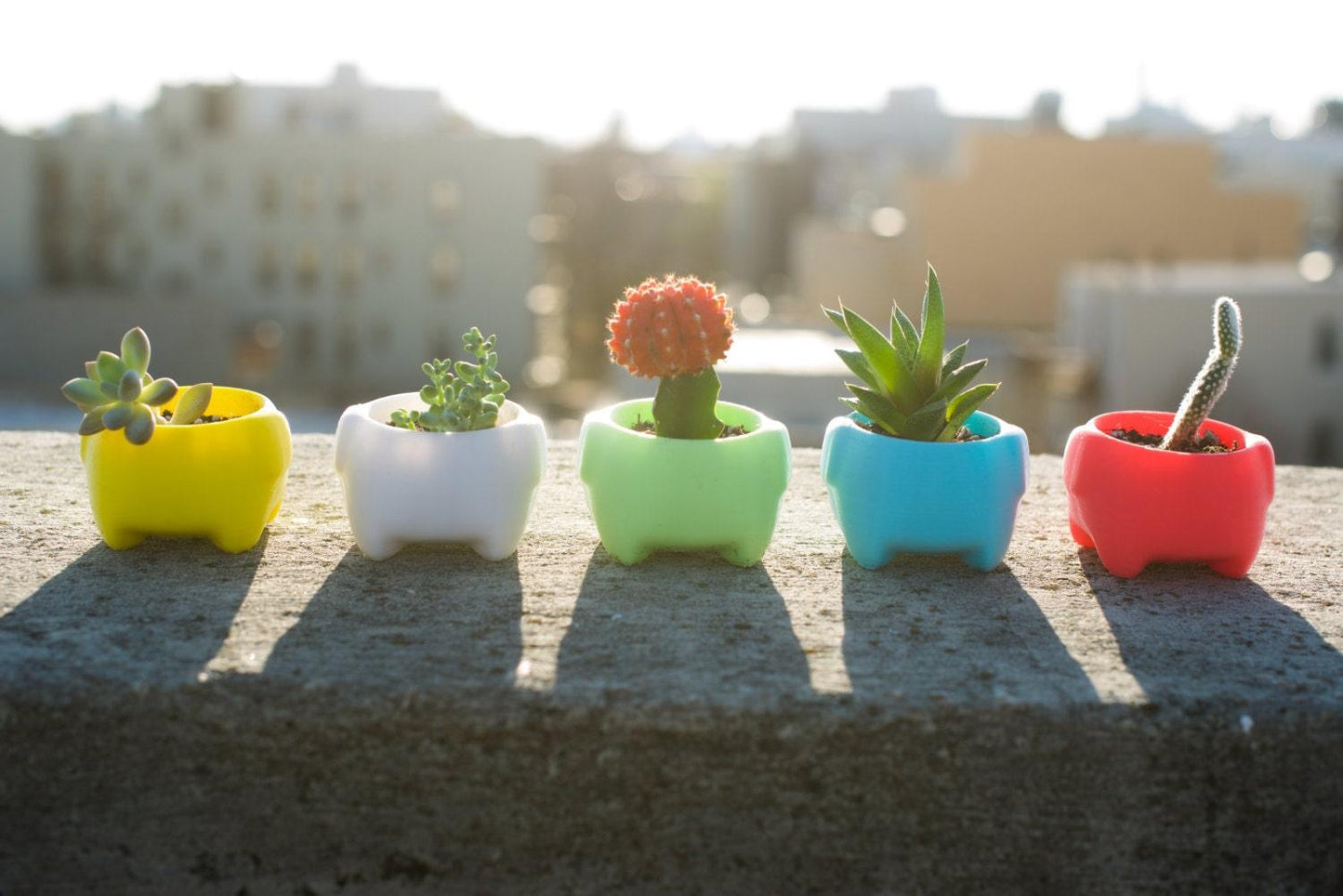 cute plant pot - 4