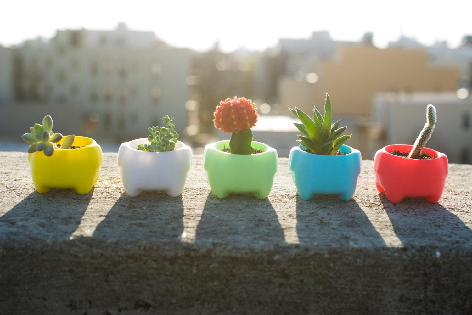 cute plant pot - 4