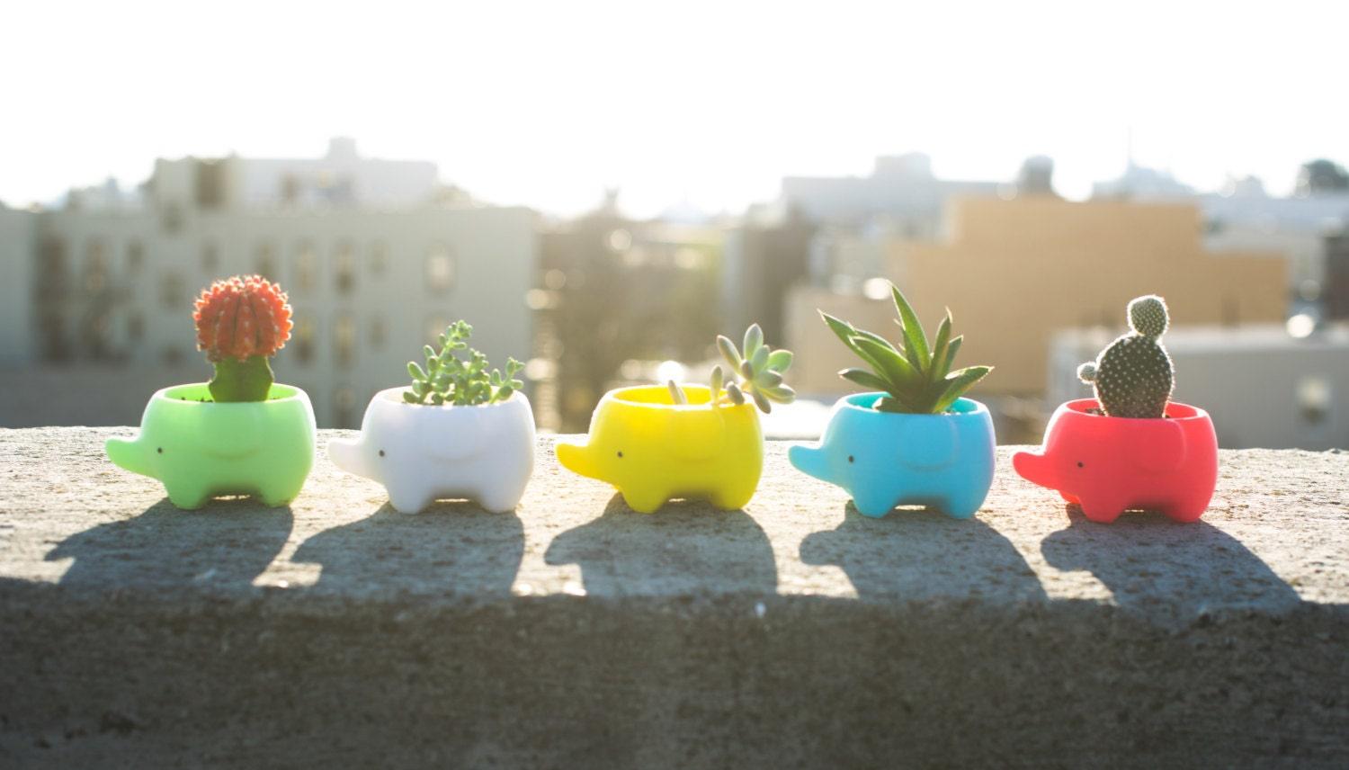 cute plant pot - 1