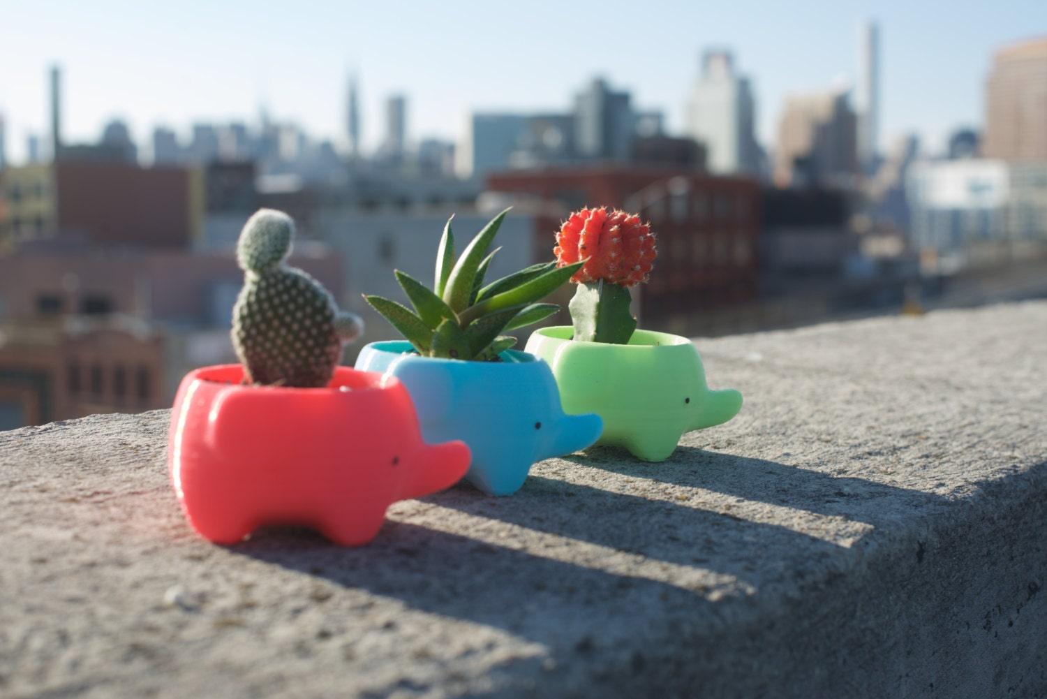 cute plant pot - 2
