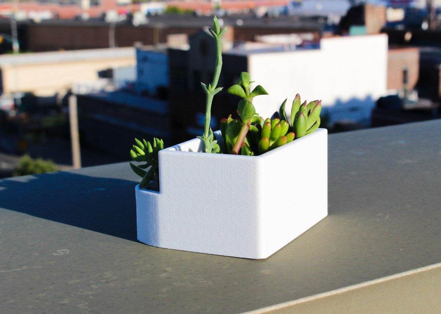 Greek house planter - 2
