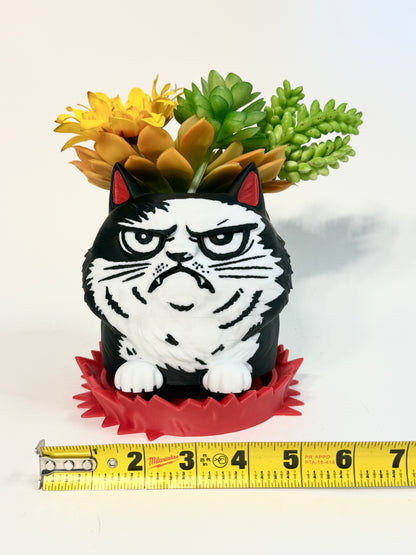 Angry Cat Planter 😾