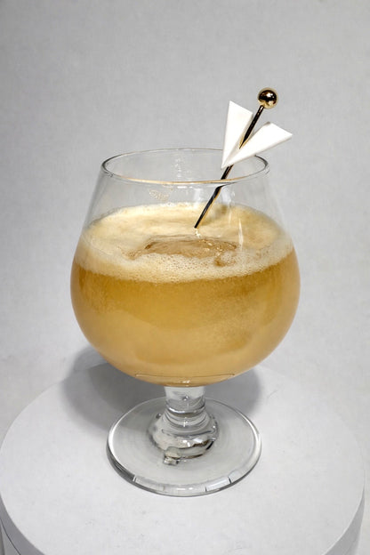 Paper Plane Reusable Cocktail Picks - Modern Aviation Drink Stirrers