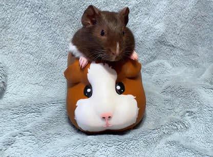 Guinea Pig Planter – Cute Animal Succulent Pot, Gift for Pet Lovers, Pet Memorial & Pet Loss Gift