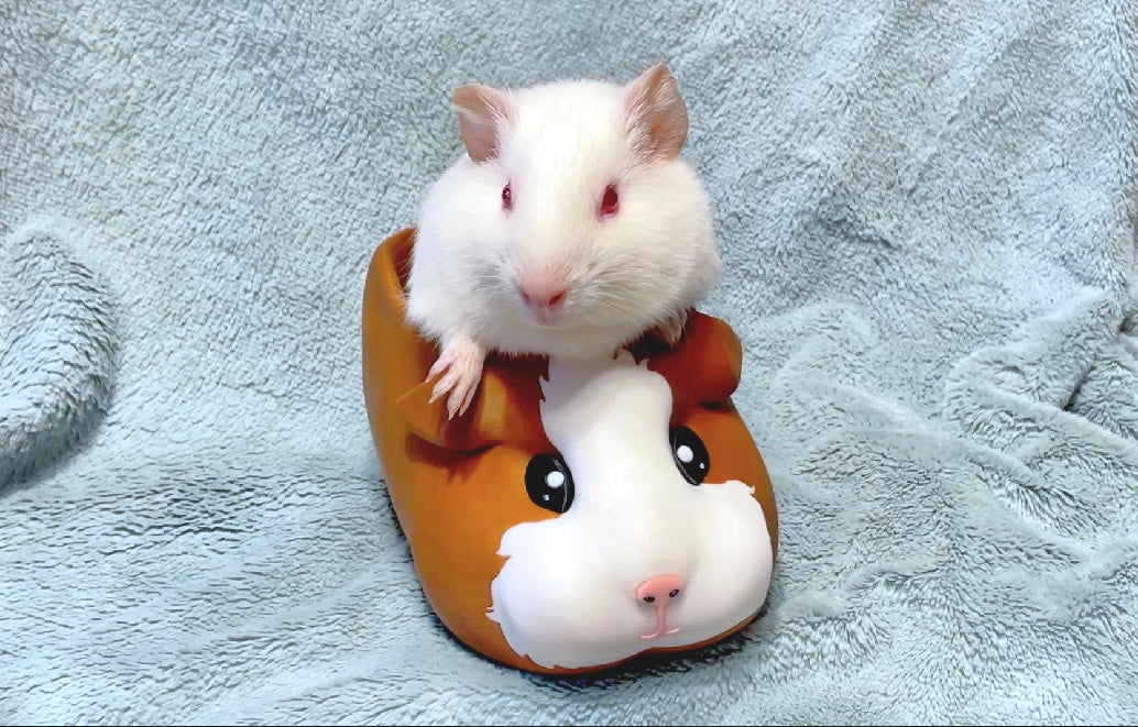 Guinea Pig Planter – Cute Animal Succulent Pot, Gift for Pet Lovers, Pet Memorial & Pet Loss Gift