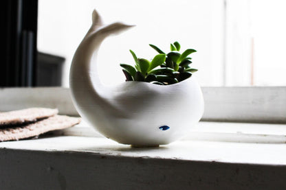 whale hanging planter Whale Planter, whale Decor, whale planter pot, Air Plant Holder, anima