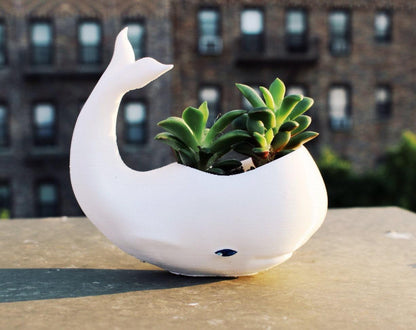 hanging whale planter Whale Planter, whale Decor, whale planter pot, Air Plant Holder, anima