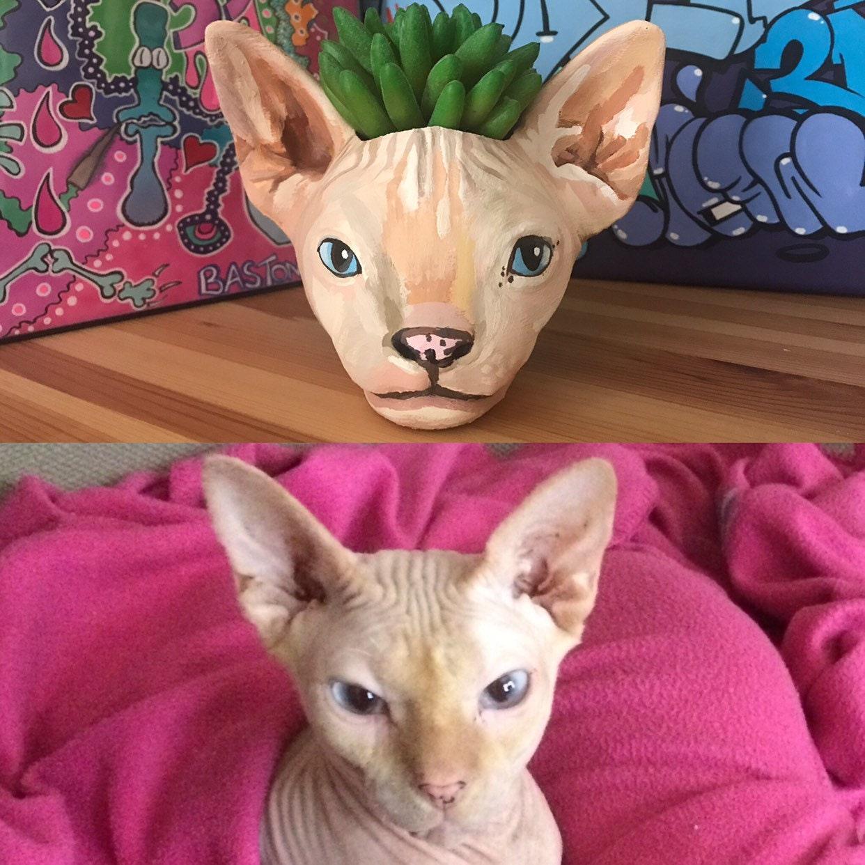 custom sphynx cat planter cat gift - 0