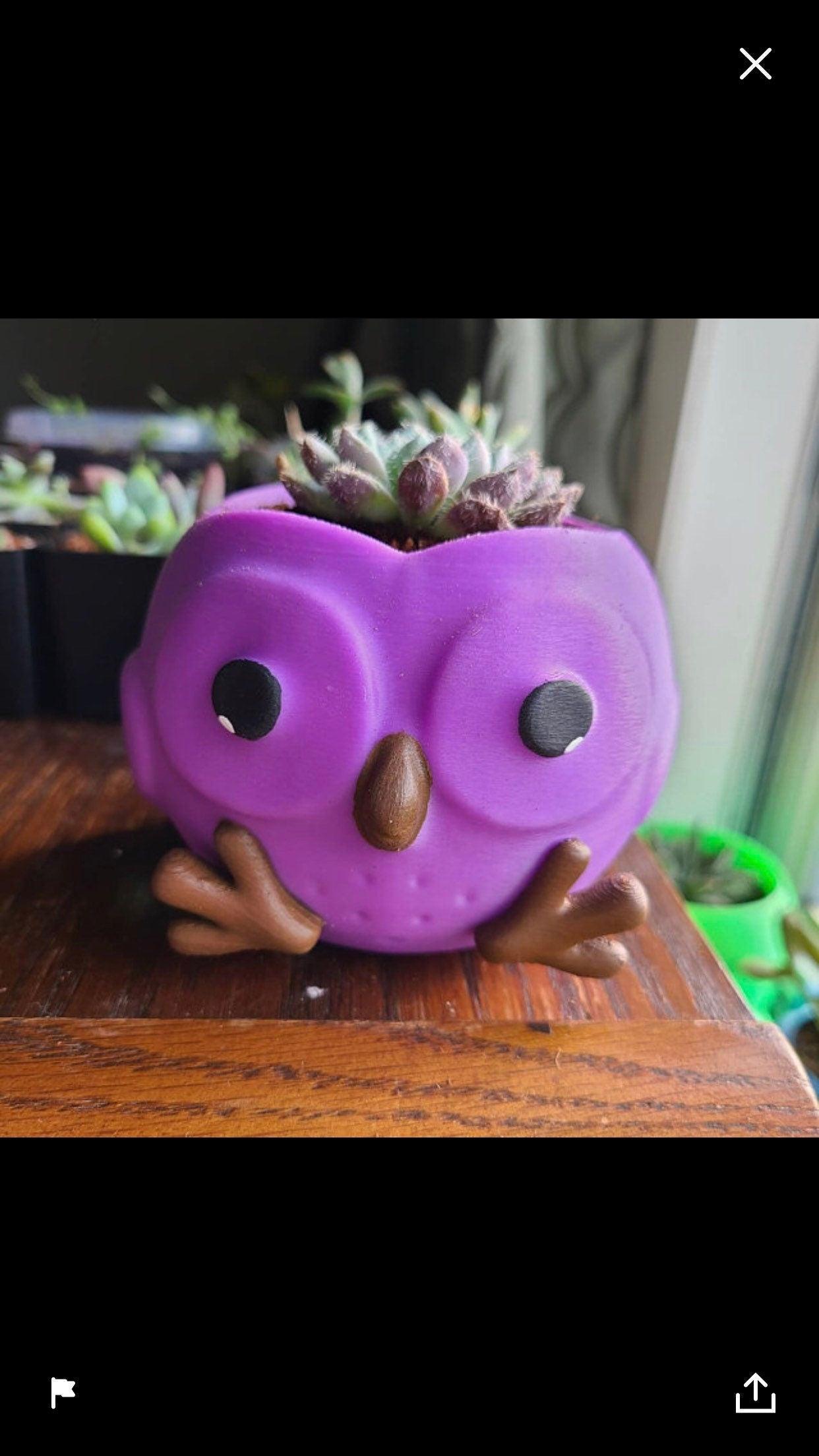 Owl Planter, owl pot, Fathers Day Gift, Plant Dad, Owl lovers, succulent planter, Animal Lover, Women Gifts, Birthday Gift