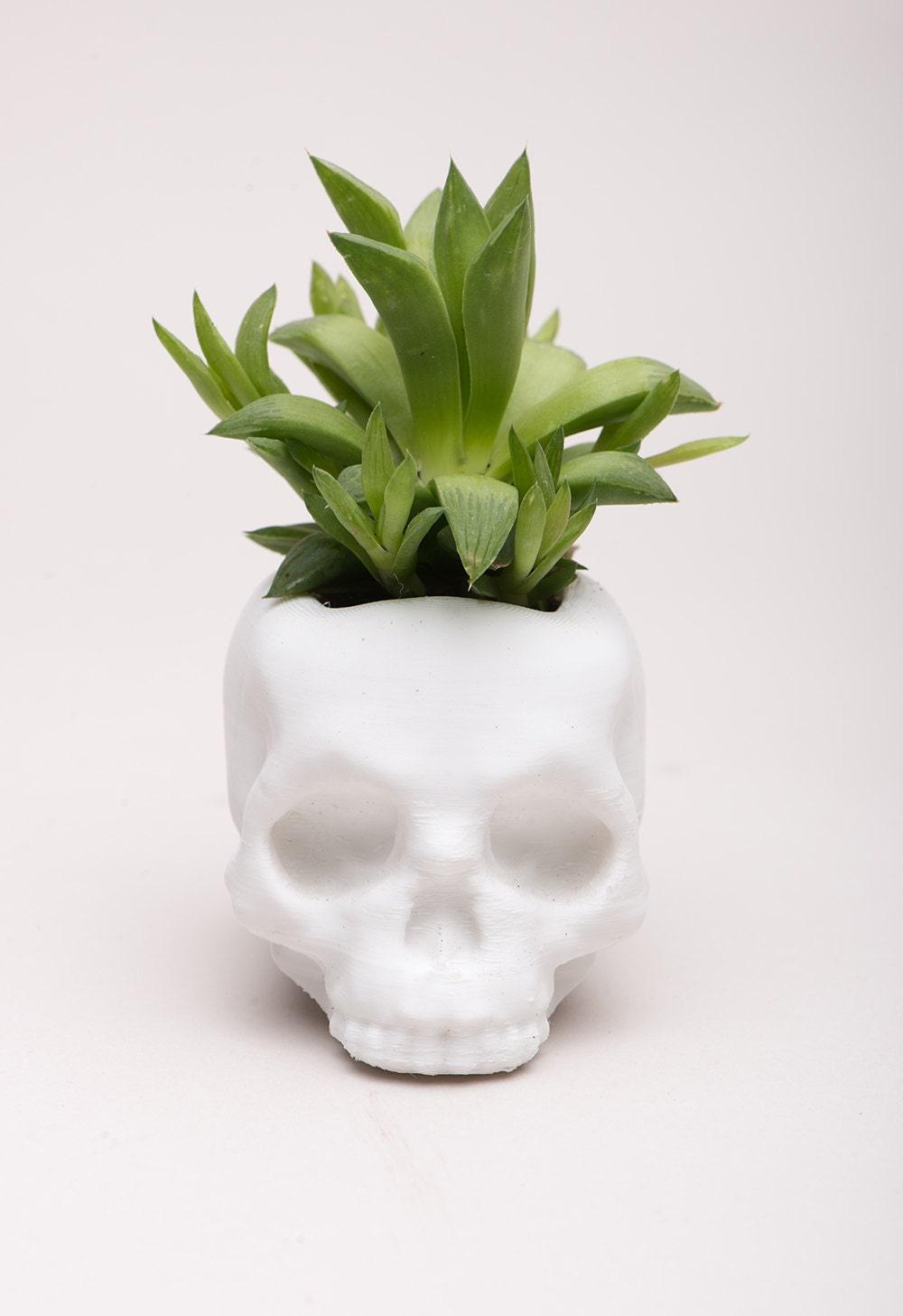 Skull Planter, skull decor, gothic home decor, succulent planter, skull, Gothic, punk decor, Rock - Meow3D