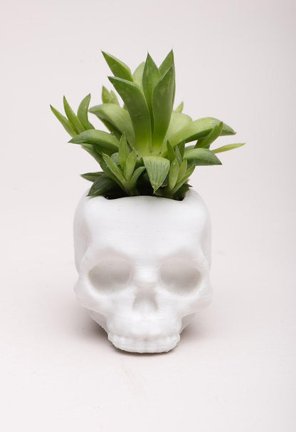 Skull Planter, skull decor, gothic home decor, succulent planter, skull, Gothic, punk decor, Rock - Meow3D